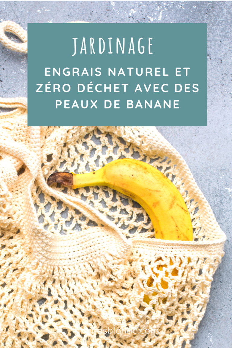 Engrais Naturel Et Zéro Déchet Avec Des Peaux De Banane L Ananas Blonde