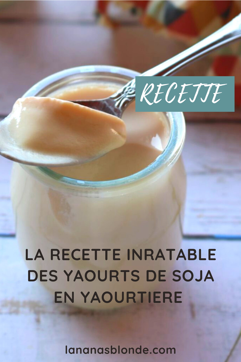 Mes yaourts de soja à la yaourtière L'ananas blonde