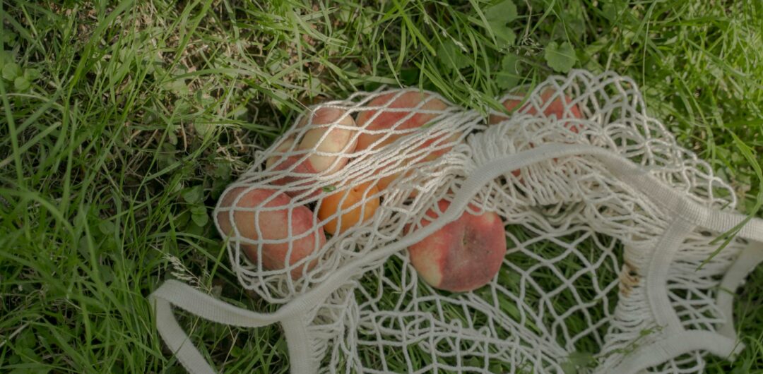 flat peaches in a mesh bag on the grass