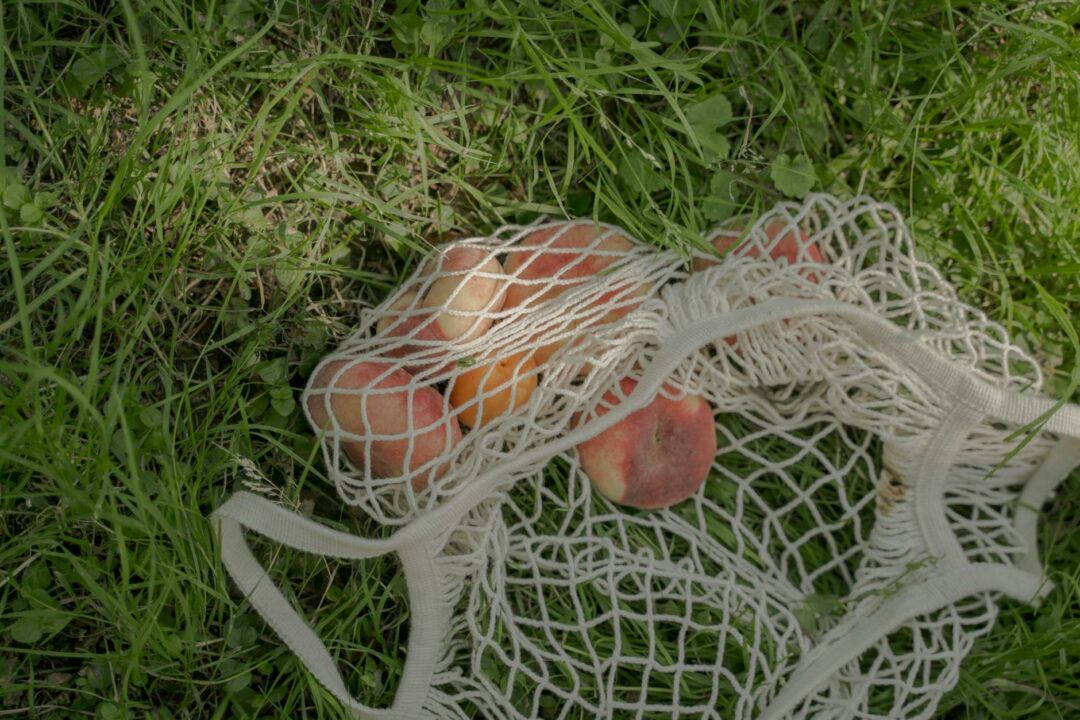 flat peaches in a mesh bag on the grass