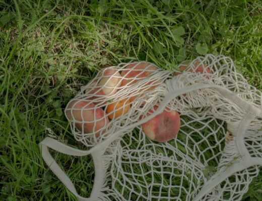 flat peaches in a mesh bag on the grass